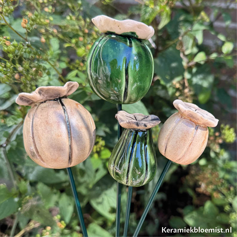 keramiekbloemist-bloemen-van-keramiek-klaproos-papaverbol-groen-crème Papaverbol Kalus - Afbeelding 1