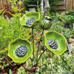 Set papaver / klaproos Emeraldus