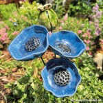 Set papaver / klaproos Indigo