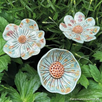 Papaver Ribella Zeegroen - Afbeelding 2