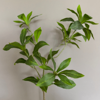 Complete set - Afbeelding 3