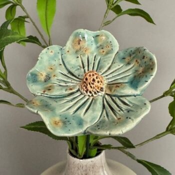 Anemona Major zeegroen