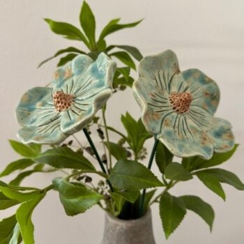 Anemona Major zeegroen - Afbeelding 3